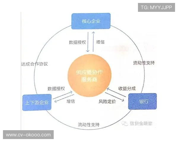 体育服务供应链与运动医学结合支持康复服务